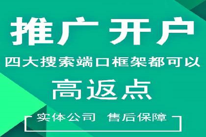 百度SEM代运营案例：如何通过精准投放提升广告效果